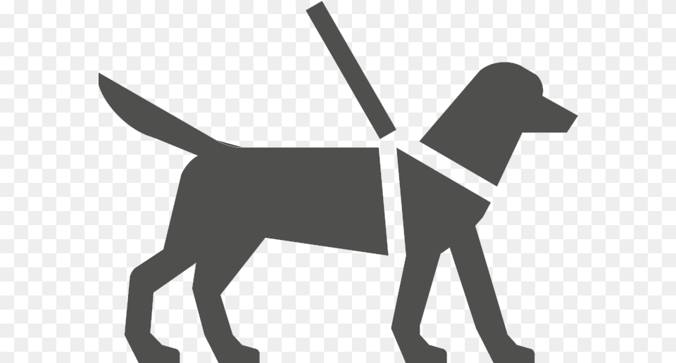 Assistance Animals Dogs On A Lead, People, Person, Accessories, Belt Free Transparent Png