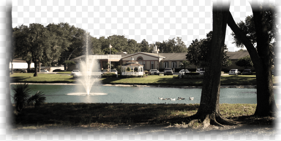 Assisted Living Hawthorne Village Brandon Florida, Tree Trunk, Architecture, Water, Plant Png Image