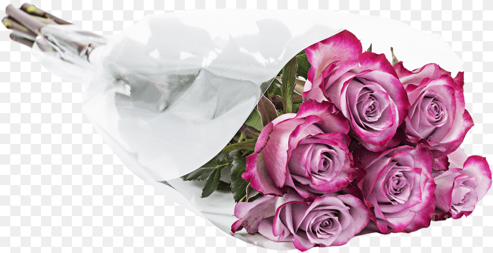 Assorted Half Dozen Roses Garden Roses, Flower, Flower Arrangement, Flower Bouquet, Plant Free Transparent Png