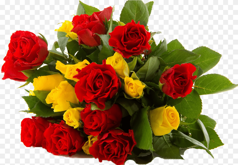 Assorted Roses Bouquet Good Morning Quotes On Dosti, Flower, Flower Arrangement, Flower Bouquet, Plant Png Image