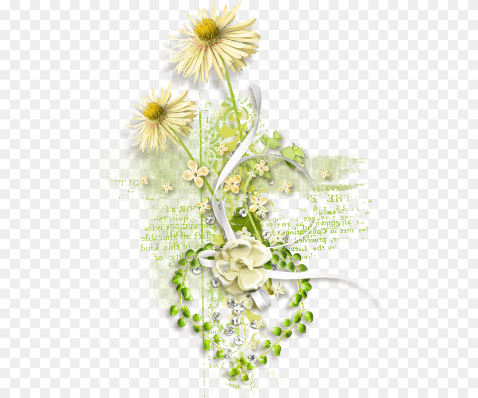 Aster, Art, Pattern, Graphics, Plant Free Png Download