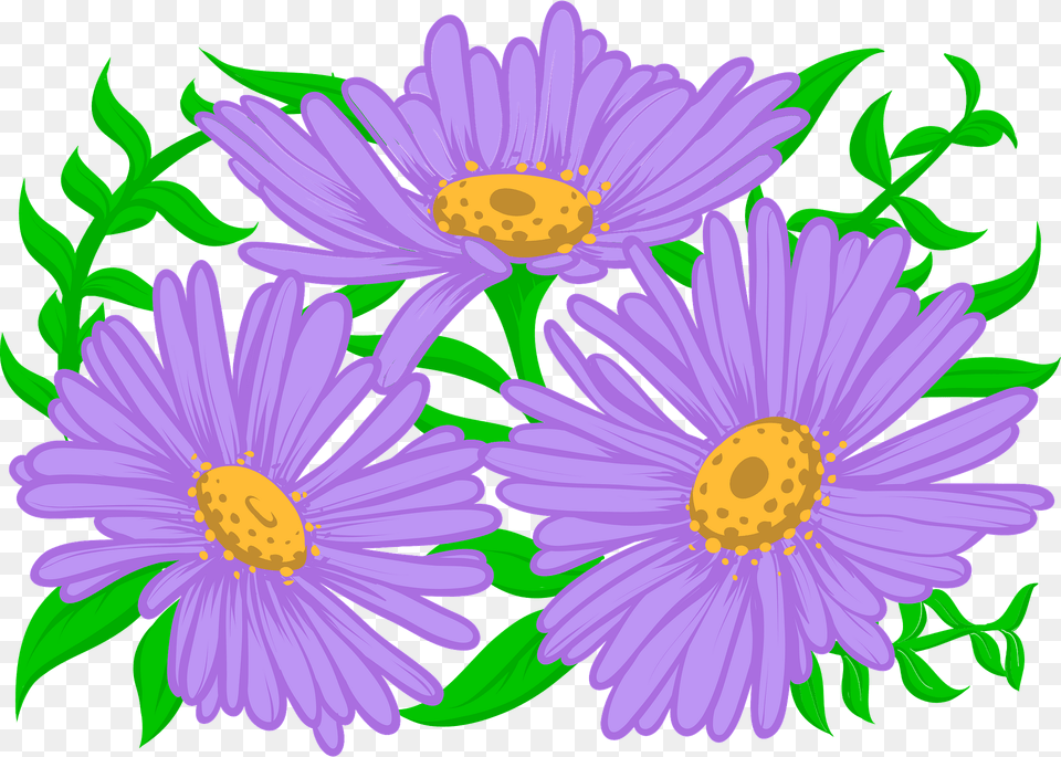 Aster Clipart, Daisy, Flower, Plant, Purple Png Image