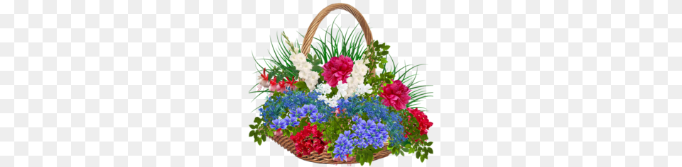 Aster Clipart, Flower, Flower Arrangement, Flower Bouquet, Plant Free Png Download