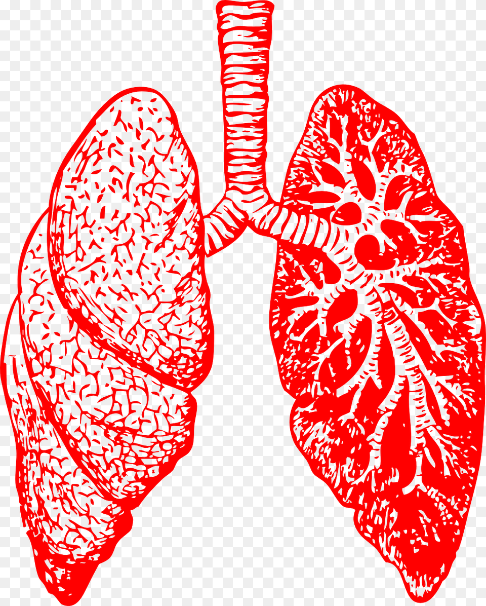Asthma And Ignition Interlock Dealing With Bronchitis Overcoming Bronchitis And, Accessories, Ct Scan, Flower, Petal Free Png