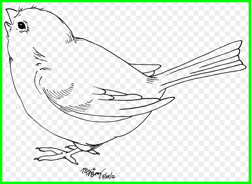 Astonishing Sweet Baby Bird Clip Art Transparent Black And White Drawing Of A Bird, Nature, Night, Outdoors, Lighting Png