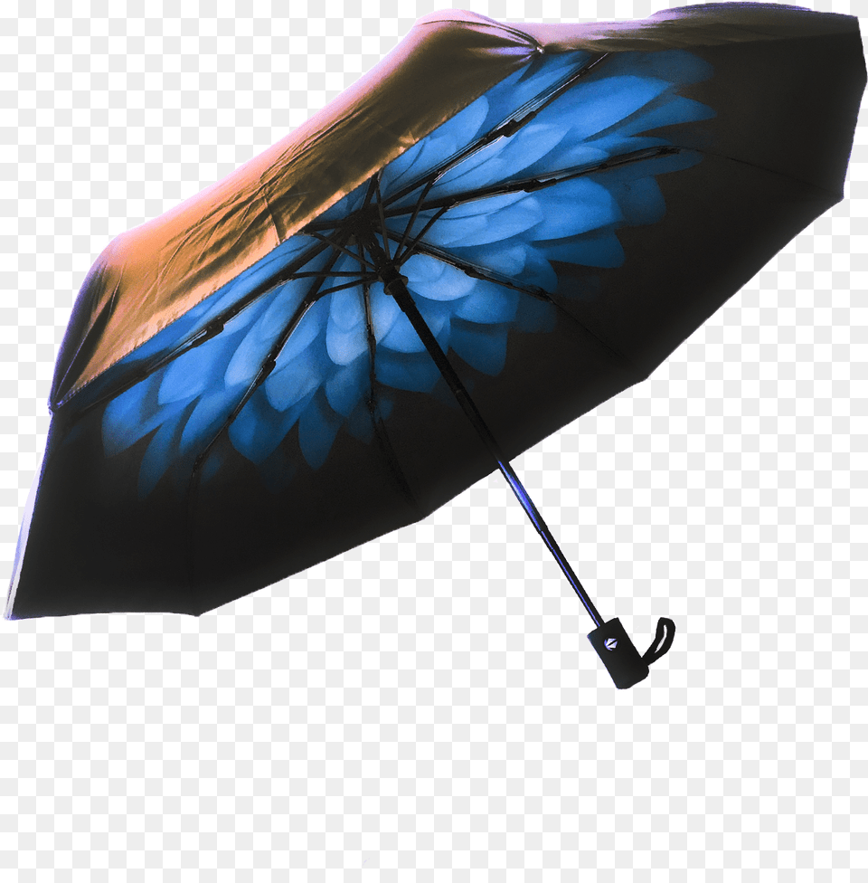 Astor And Royce Umbrella, Canopy Free Png