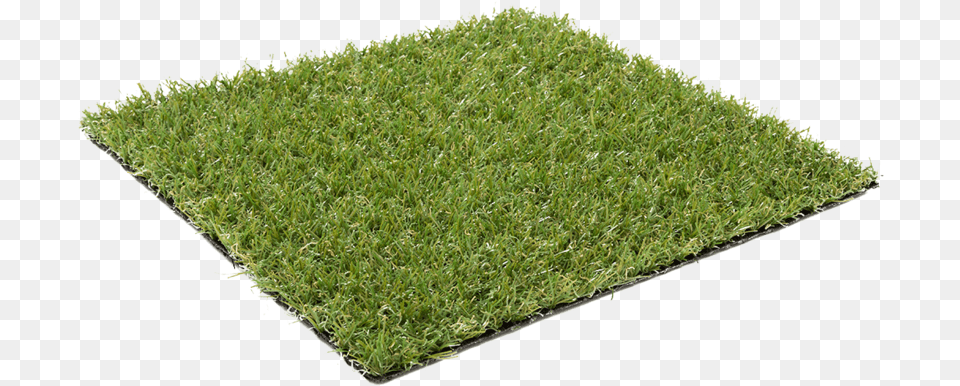 Astra Avocado Grass Sheet, Lawn, Moss, Plant Free Png