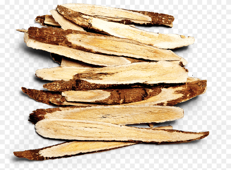 Astragalus Root, Wood, Lumber, Invertebrate, Insect Free Png Download