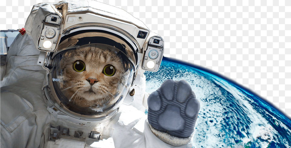 Astronaut Cat On Moon, Animal, Mammal, Pet, Astronomy Free Transparent Png