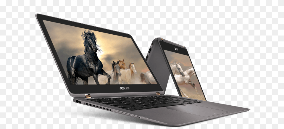 Asus Zenbook Flip, Pc, Computer, Laptop, Electronics Png Image