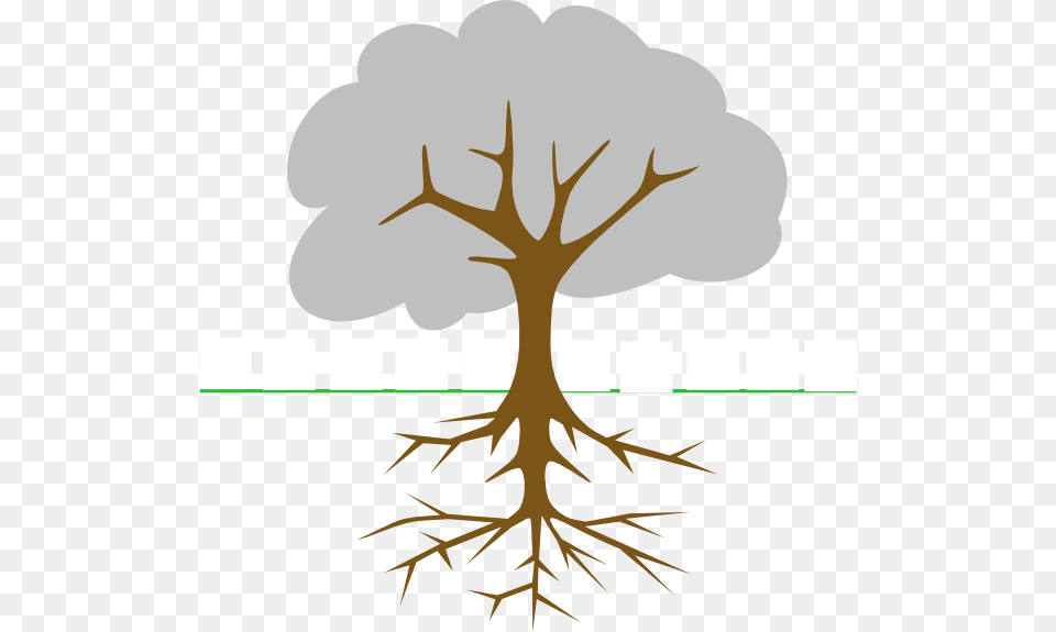 At Clker Com Vector Clip Art Trees With Roots, Antler Free Png Download