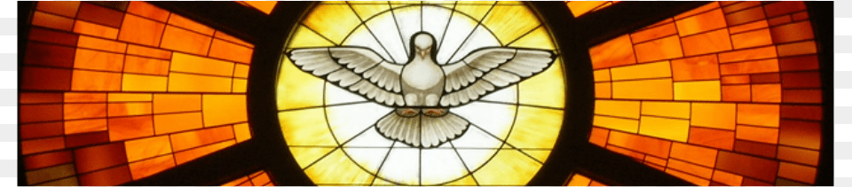 At Confirmation We Receive The Gifts Of The Holy Spirit Holy Spirit Logo With Jesus Christ, Art, Animal, Bird, Stained Glass Free Transparent Png