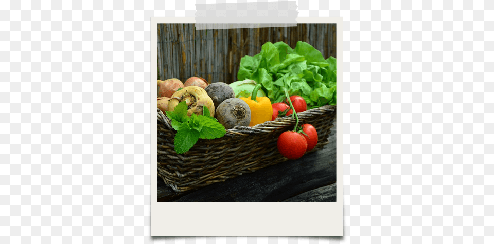 At Edward Amp Sons We Believe That Consumers Deserve Daily Food Log 2017 Book, Produce, Herbs, Plant, Person Png Image