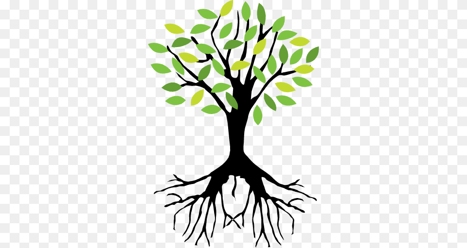 At Flynn39s Tree Pros We Always Offer Estimates Tree Roots Art, Pattern, Floral Design, Graphics, Green Free Transparent Png