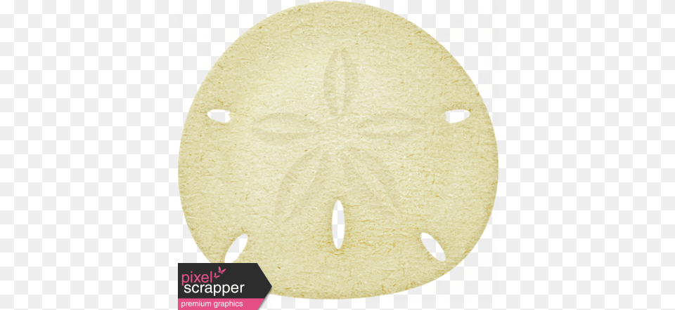 At The Beach Sand Dollar Graphic By Sheila Reid Pixel Circle, Home Decor, Animal, Bird, Rug Png Image