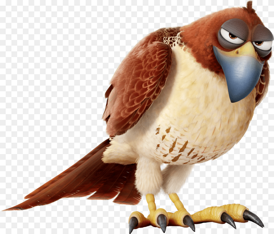 At The Movies Secret Life Of Pets Eagle, Animal, Beak, Bird, Vulture Free Png