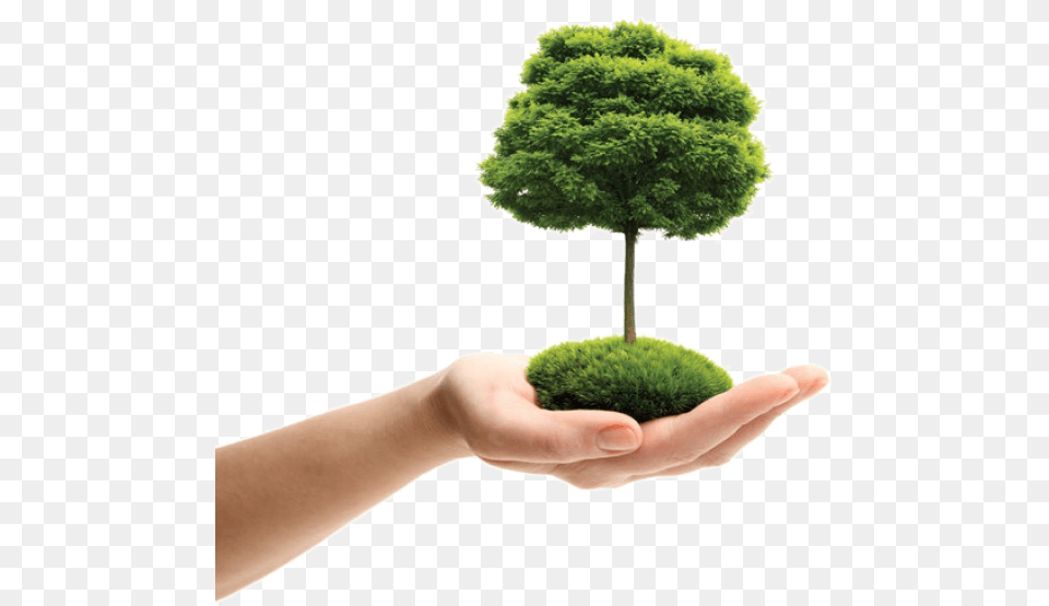 At Tri Wall Everything We Do Is Dedicated To Protecting Earth Day Logo, Moss, Plant, Potted Plant, Tree Free Png