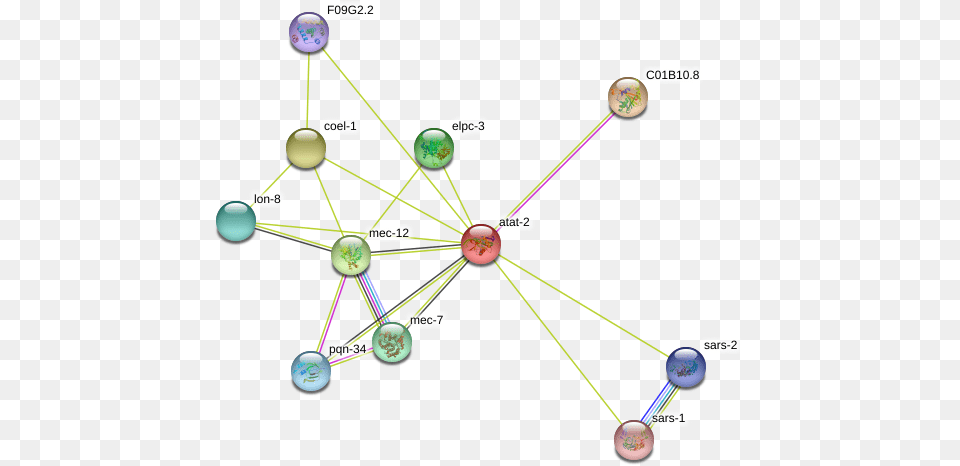 Atat 2 Protein Circle, Nature, Night, Outdoors, Network Free Transparent Png