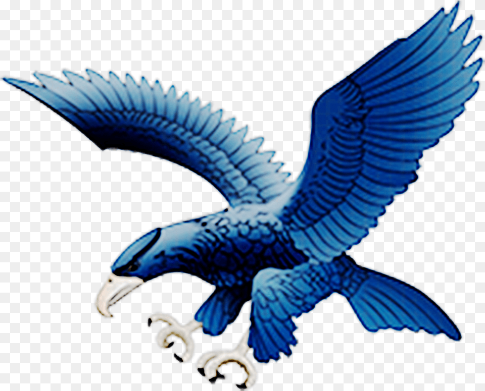Ateneo Blue Eagles Logo, Animal, Bird Free Transparent Png