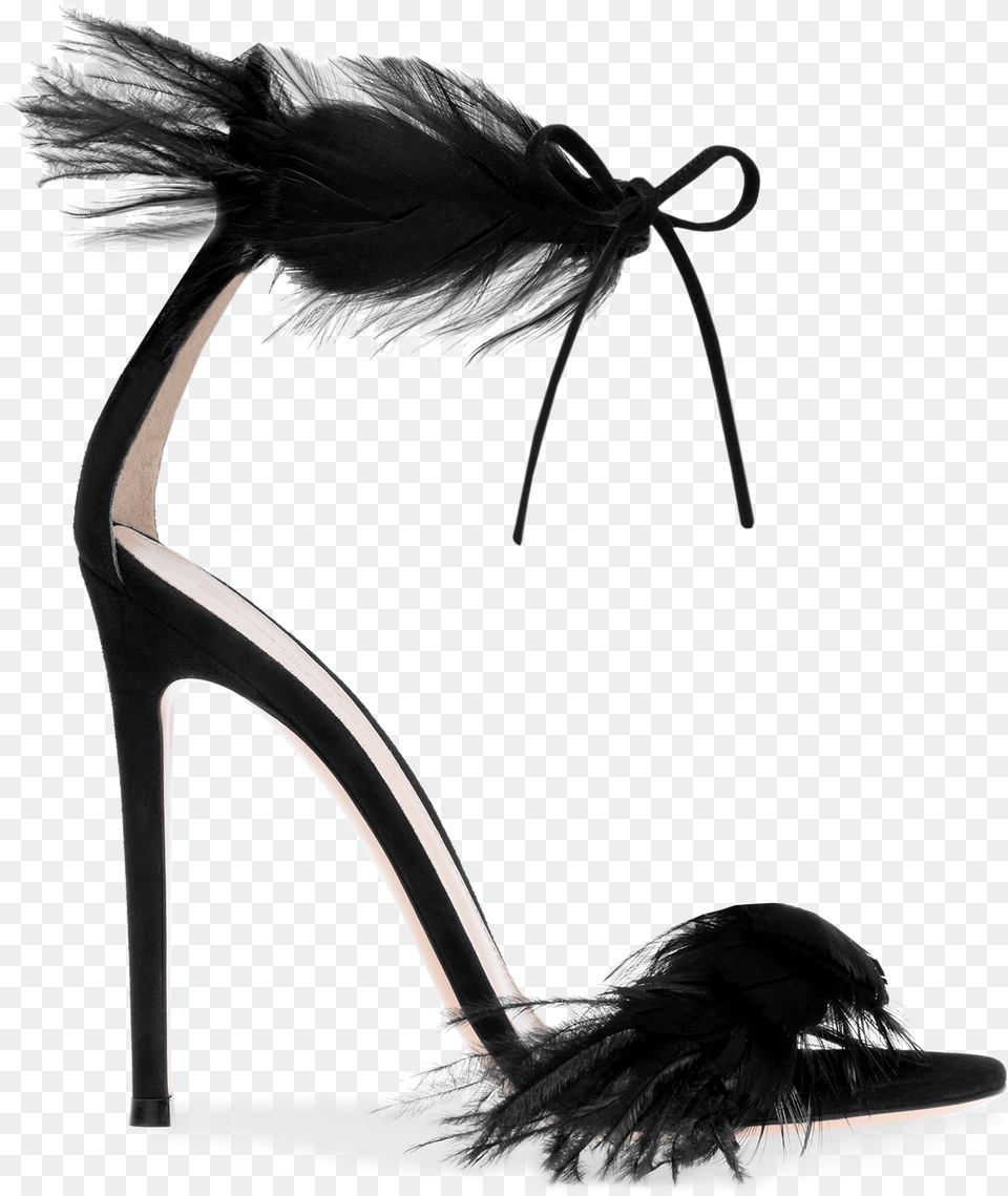 Athena Gianvito Rossi Black Feather Heels, Clothing, Footwear, High Heel, Shoe Png