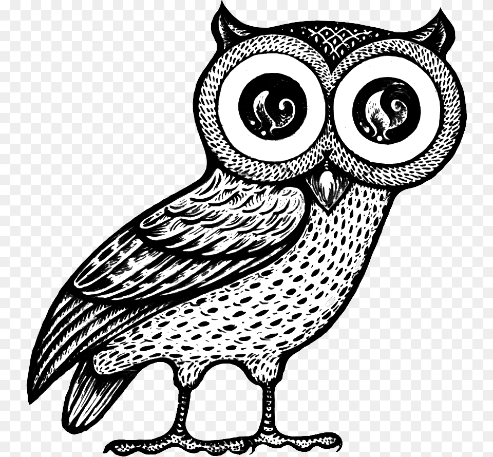 Athena Owl Owl Of Athena, Art, Animal, Bird, Drawing Free Transparent Png