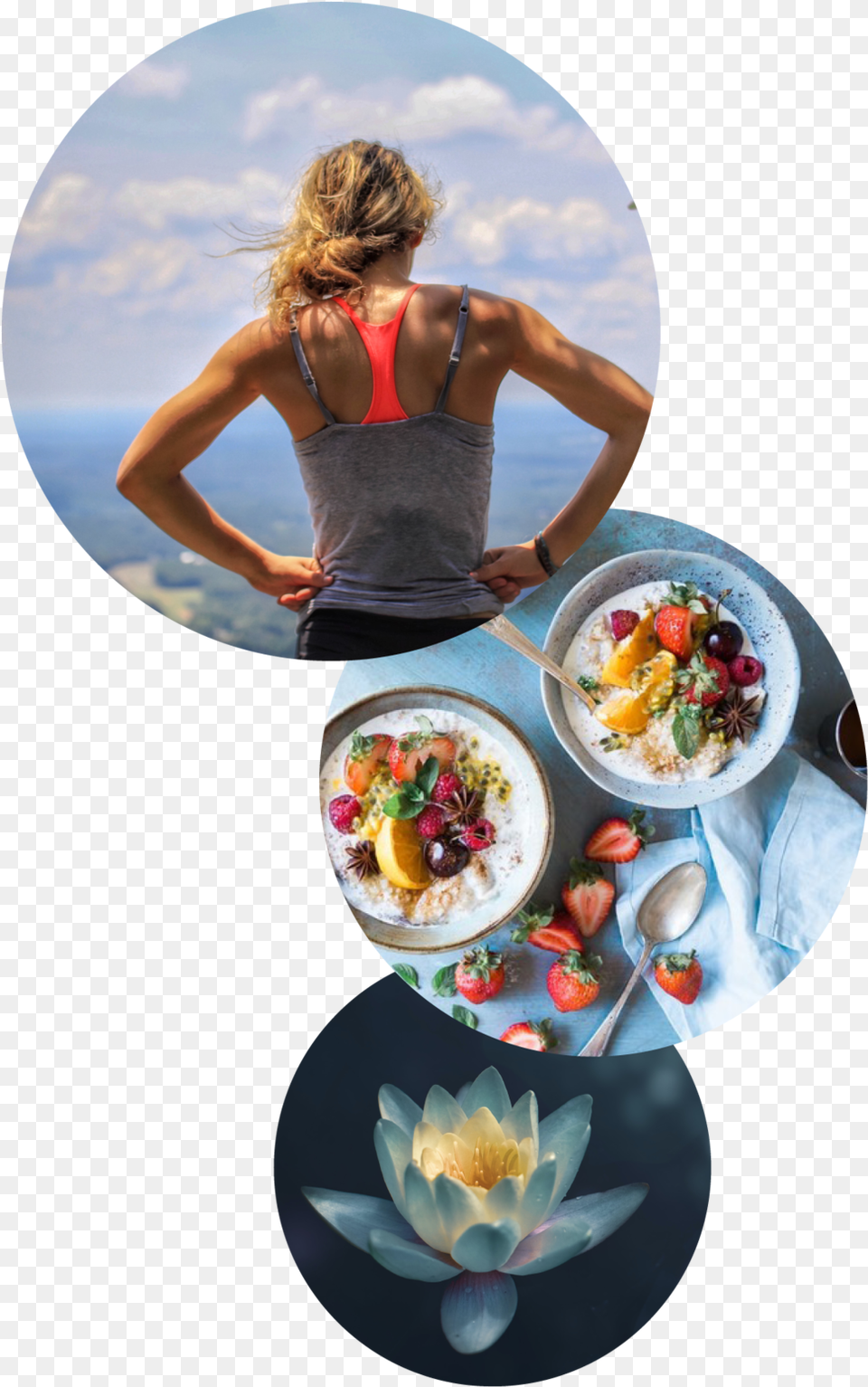 Athena Wellness Filling Breakfasts, Lunch, Brunch, Food, Meal Png Image