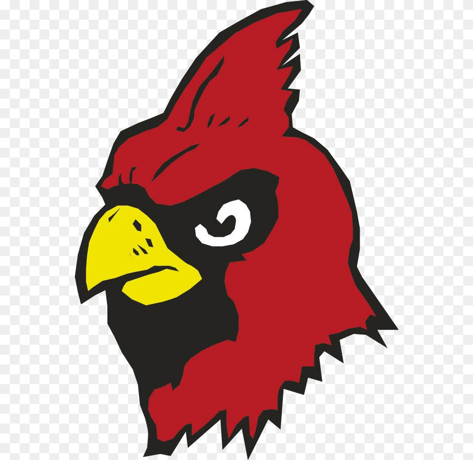 Athletics Amp Activities Department Cardinal Chippewa Falls Cardinals, Animal, Beak, Bird, Baby Free Transparent Png