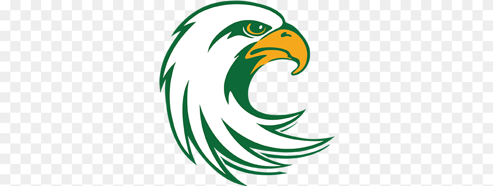 Athletics Logos Jamestown Community College Jayhawks, Animal, Bird, Eagle, Beak Png Image