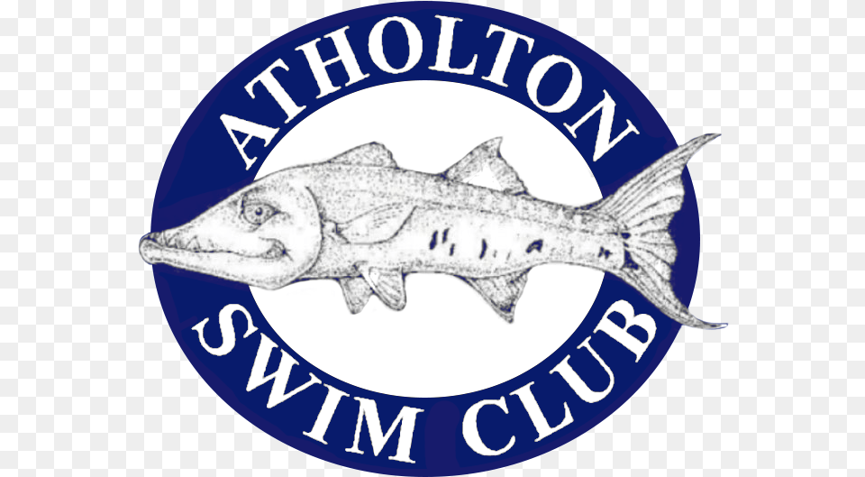 Atholton Swim Club Woodford Reserve, Animal, Fish, Sea Life, Shark Png