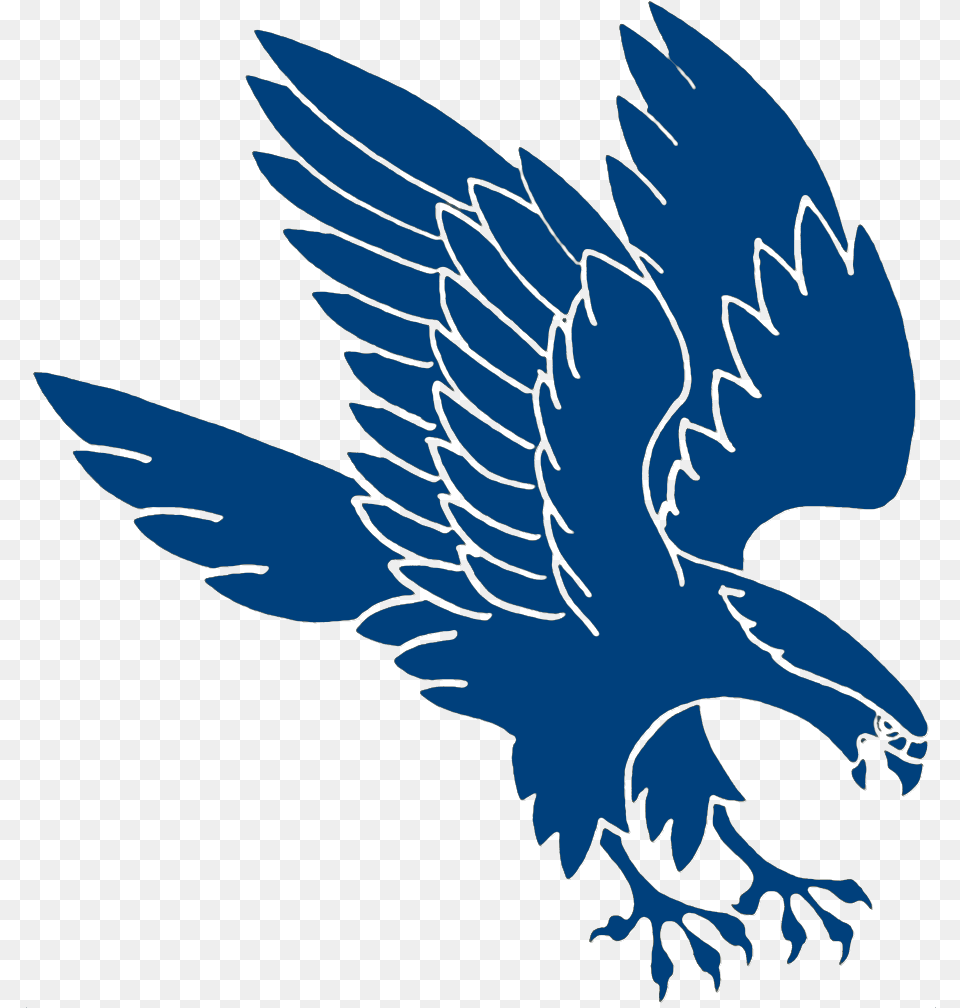 Atlanta Falcons Air Force Logo Clipart Falcon Bird Logo, Animal, Fish, Sea Life, Shark Free Transparent Png