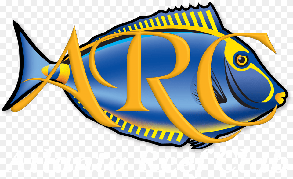 Atlanta Reef Club, Animal, Fish, Sea Life, Surgeonfish Free Png