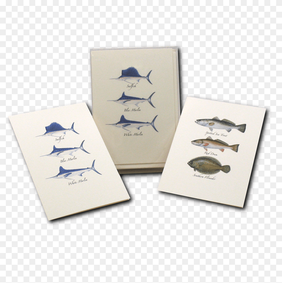 Atlantic Blue Marlin, Animal, Fish, Sea Life, Business Card Free Transparent Png