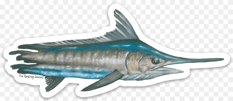 Atlantic Blue Marlin, Animal, Sea Life, Fish, Swordfish Png Image