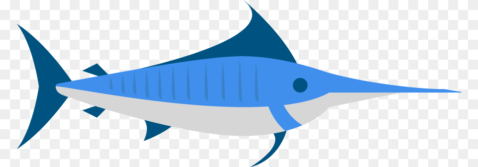 Atlantic Blue Marlin Swordfish, Animal, Sea Life, Fish, Shark Png Image