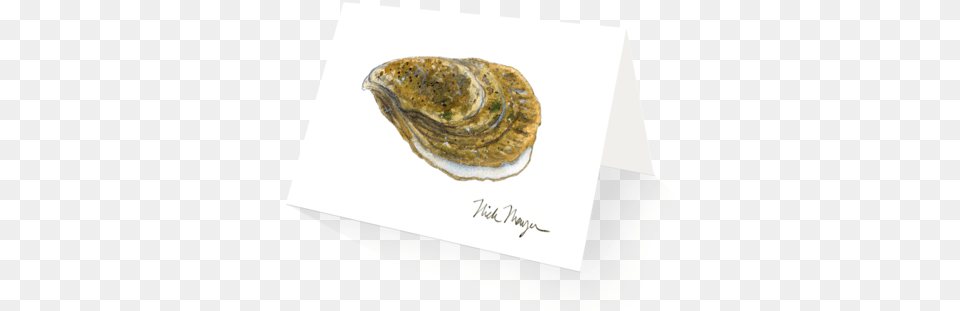 Atlantic Oyster Eastern Oyster, Animal, Clam, Food, Invertebrate Free Transparent Png