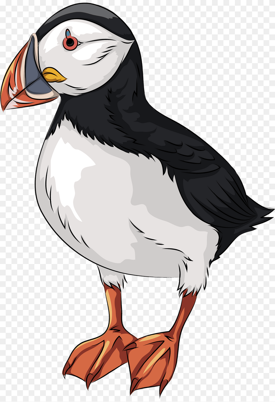 Atlantic Puffin Clipart, Animal, Bird, Person, Face Png