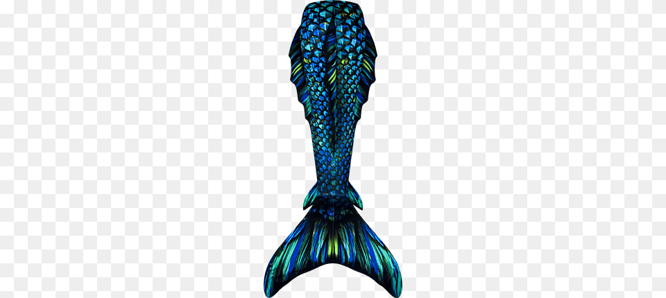 Atlantis Sea Dragon Mermaidmerman Tail Finfriends, Woman, Person, Graphics, Female Png Image