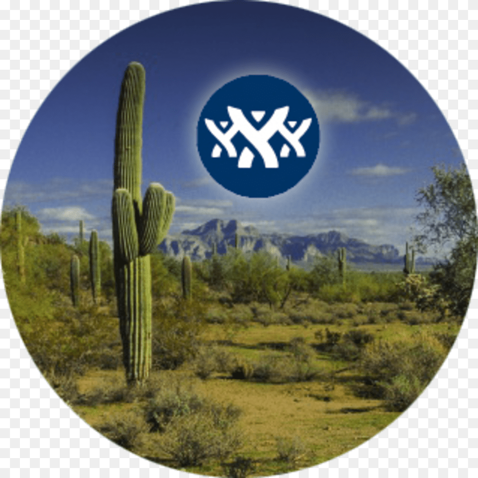 Atlassian User Groups Phoenix San Pedro Cactus, Plant, Outdoors Free Png