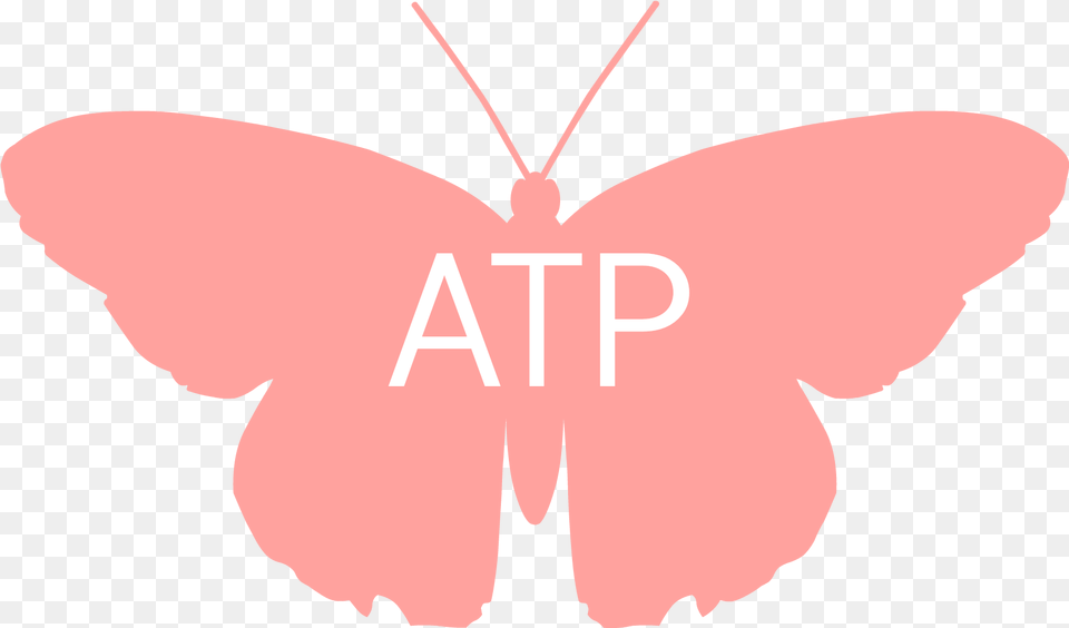 Atp Butterfly Lycaenid, Accessories, Person Png