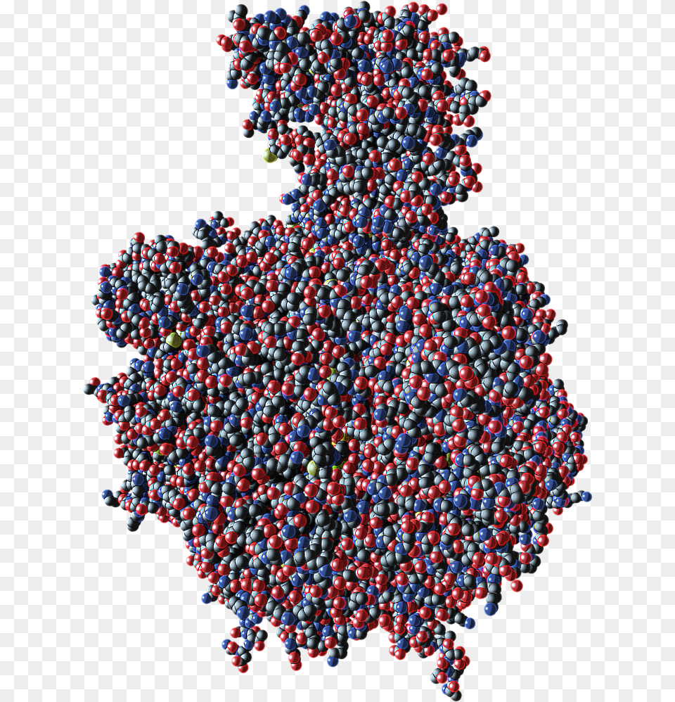 Atp Synthase Protein Turntable Animation Bioblogical Illustration, Berry, Blueberry, Food, Fruit Png Image