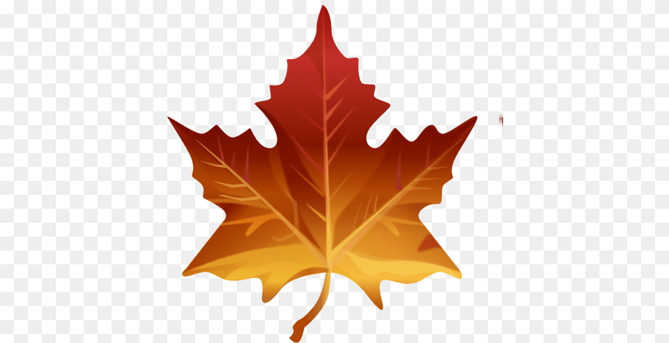 Attachment Fall Leaf Emoji, Maple Leaf, Plant, Tree, Person Png Image