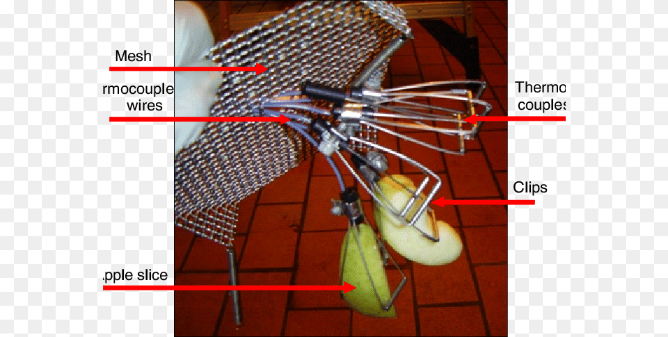 Attachment Of Apple Slices To The Thermocouples For Heat, Chair, Furniture, Person, Food Free Transparent Png