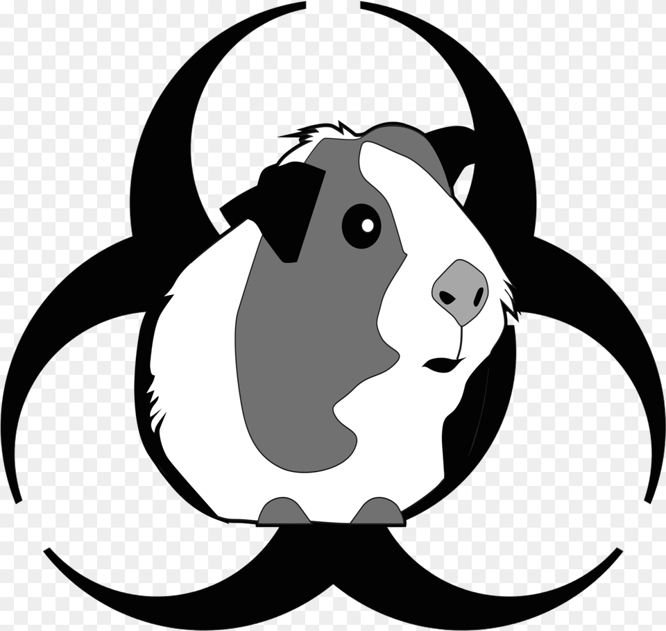 Attack Of The Peruvian Guinea Pig Death Flu Download Cute Guinea Pig Clipart, Stencil, Animal, Bear, Mammal Free Png