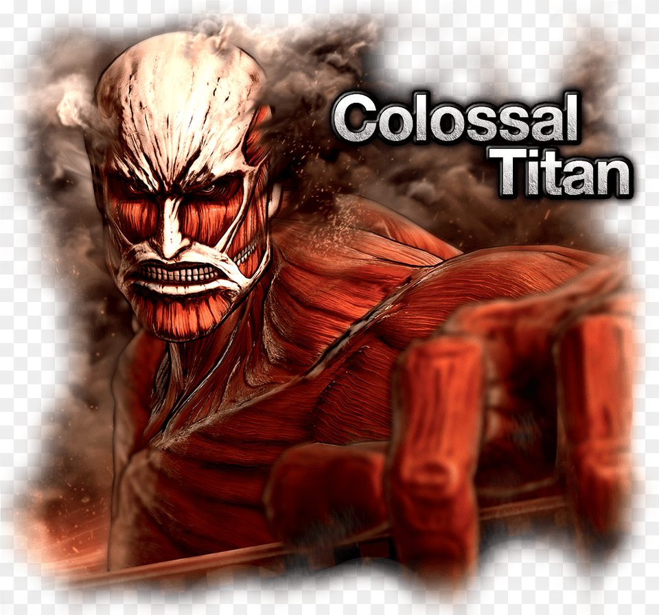 Attack On Titan Icon, Adult, Person, Female, Woman Free Png Download