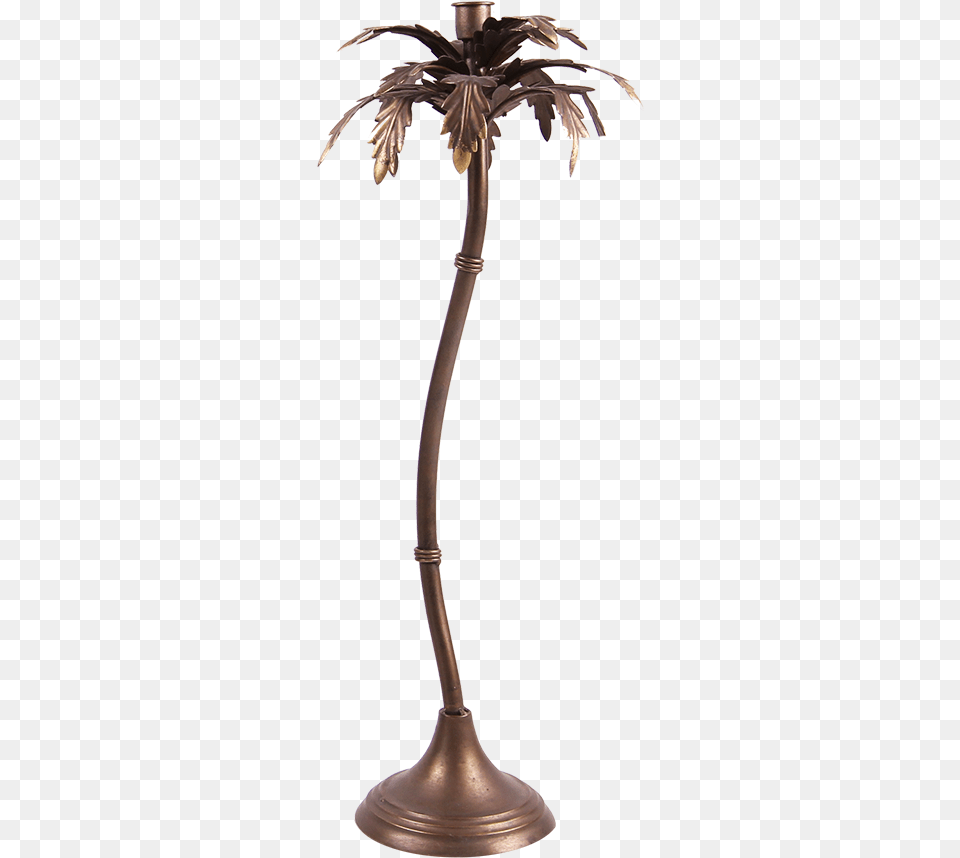 Attalea Speciosa, Bronze, Lamp, Furniture Png