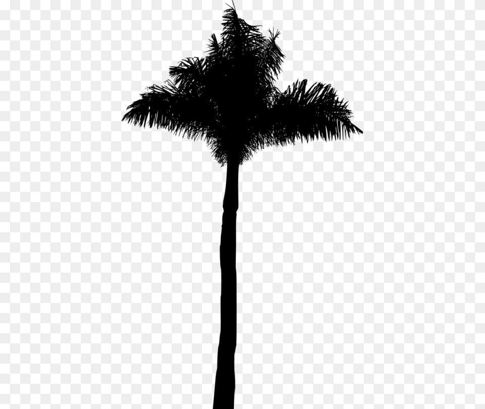 Attalea Speciosa, Palm Tree, Plant, Tree, Silhouette Free Png Download