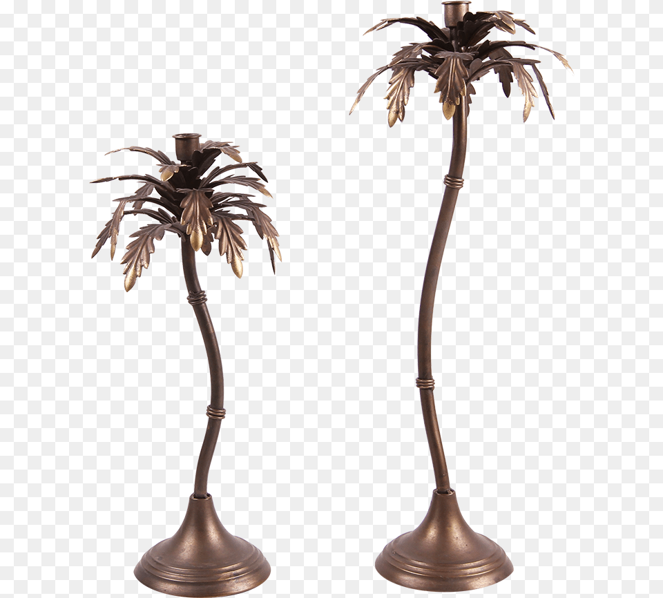 Attalea Speciosa, Lamp, Furniture, Plant, Tree Free Png Download