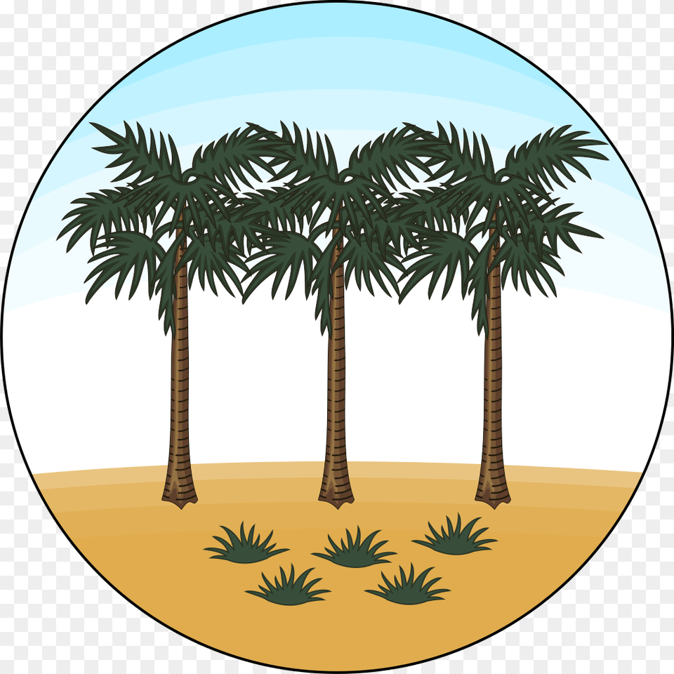 Attalea Speciosa, Palm Tree, Plant, Tree, Vegetation Free Transparent Png