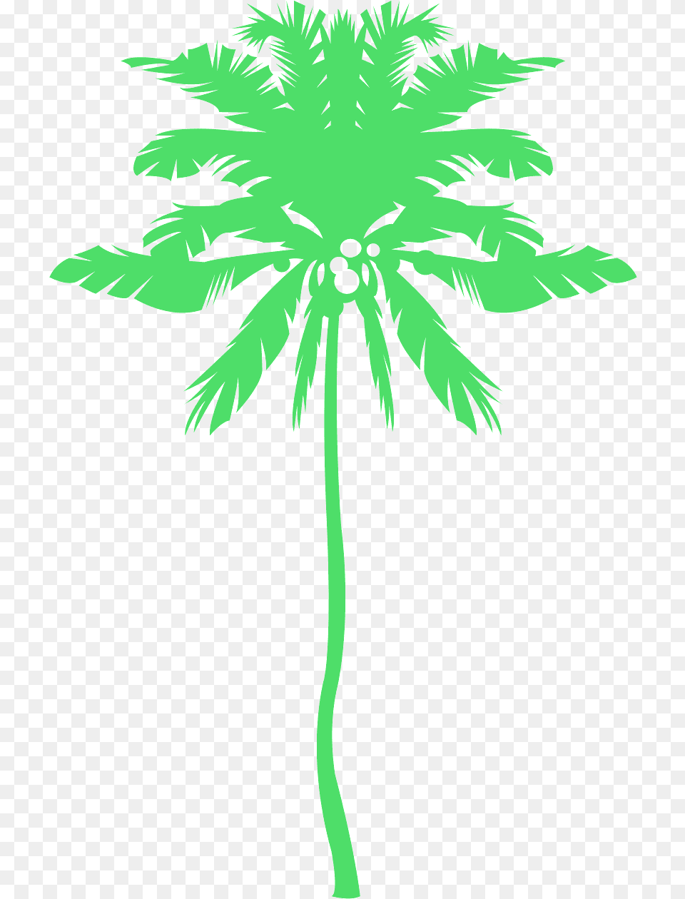 Attalea Speciosa, Palm Tree, Plant, Tree, Leaf Free Png Download