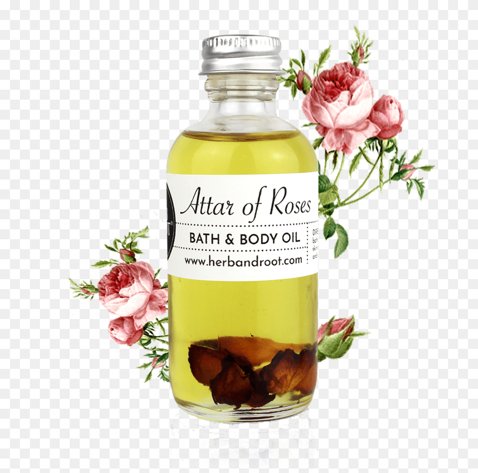 Attar Of Roses Bath Amp Body Oil Attar Base Olive Oil, Flower, Plant, Rose, Herbal Png Image